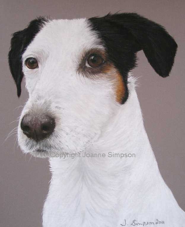Jack Russell cross pet portrait by Joanne Simpson
